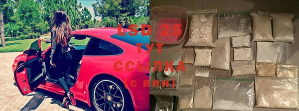шишки Покров